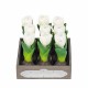 Bougies tulipes par 3